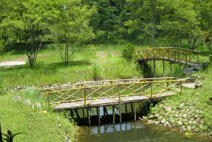 Silver Ridge Resort, Jalpaiguri 5